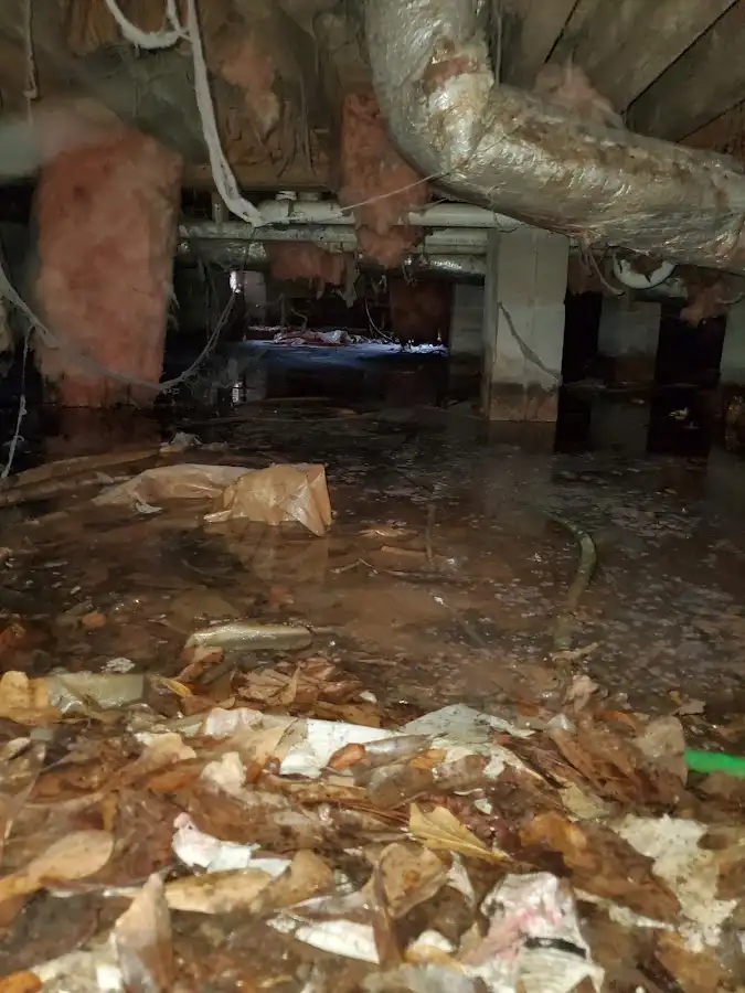 Crawl space flood assessment for Leak Detection & Repair in Stevens Point